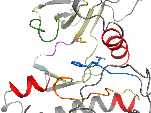 The orthosteric binding pocket