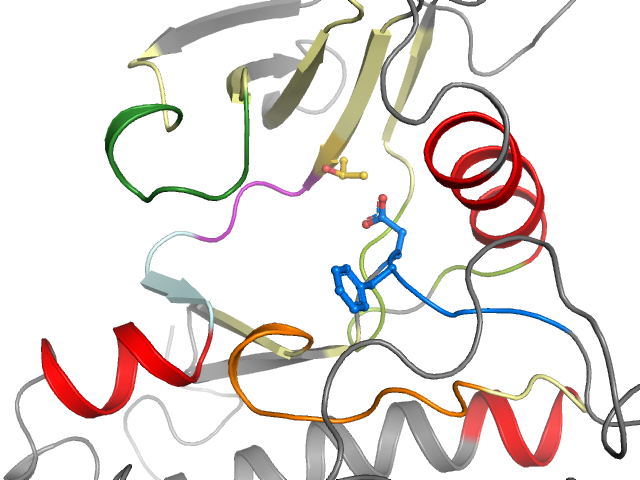 The orthosteric binding pocket