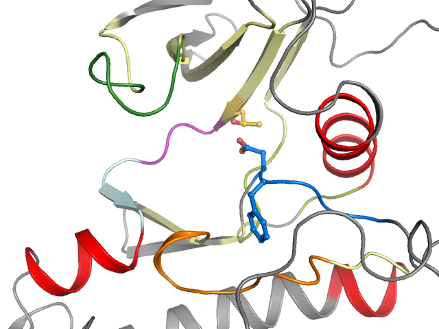 The orthosteric binding pocket
