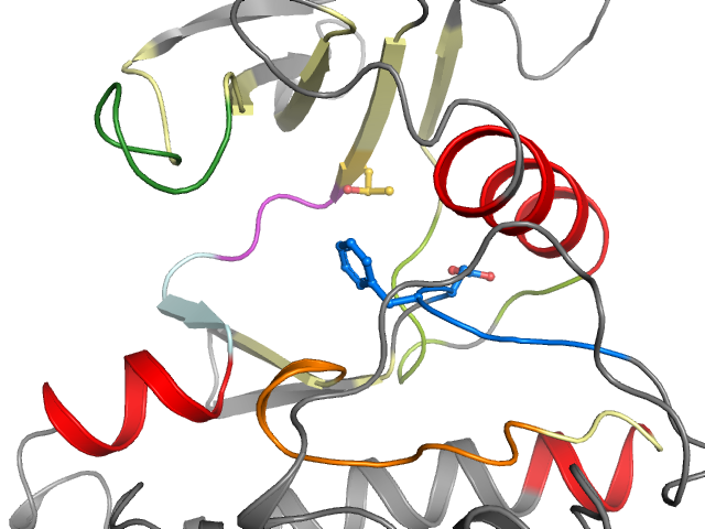 The orthosteric binding pocket