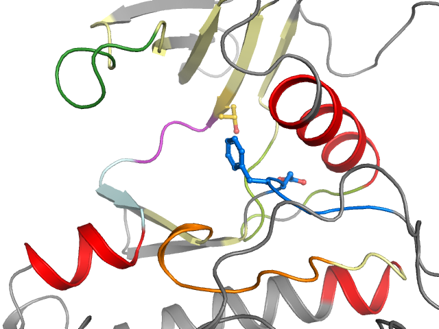 The orthosteric binding pocket