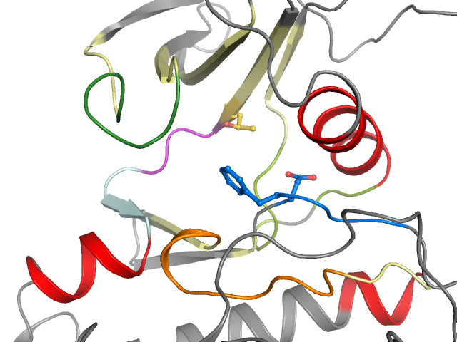 The orthosteric binding pocket