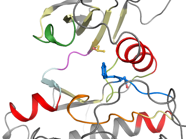 The orthosteric binding pocket