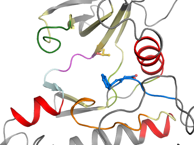 The orthosteric binding pocket