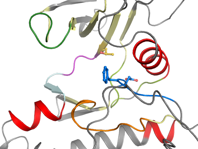 The orthosteric binding pocket