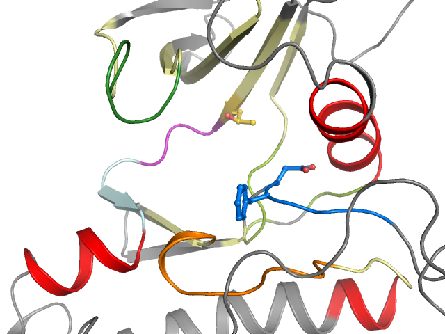 The orthosteric binding pocket