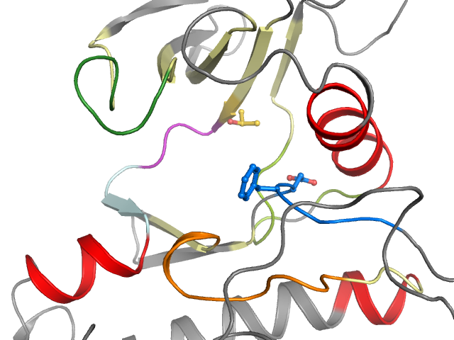 The orthosteric binding pocket