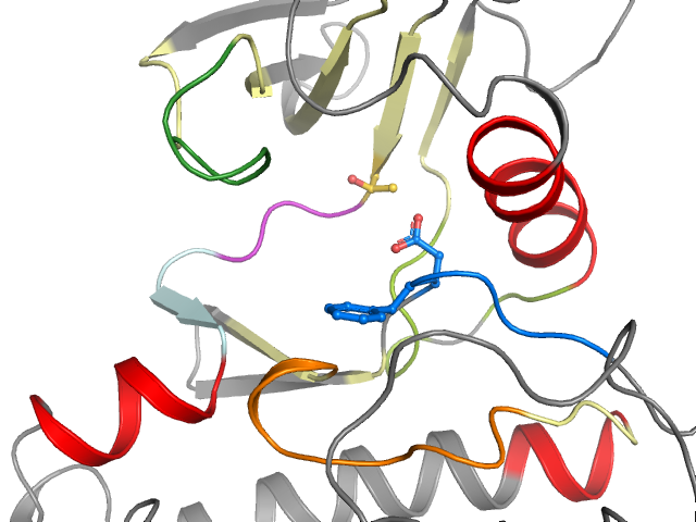 The orthosteric binding pocket