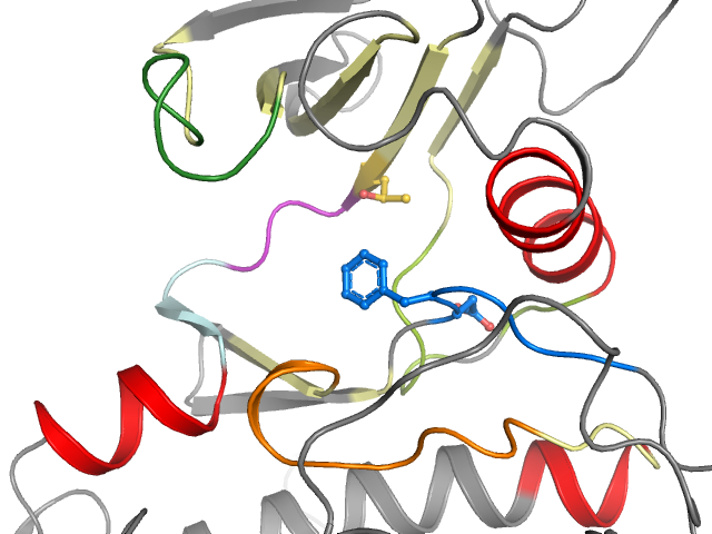 The orthosteric binding pocket