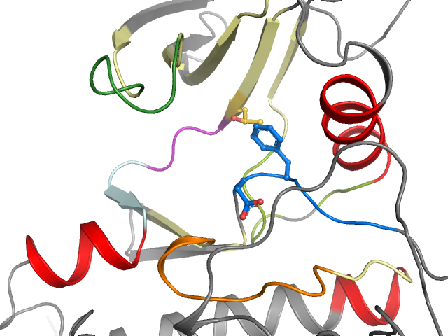 The orthosteric binding pocket