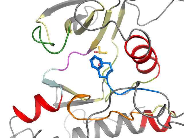 The orthosteric binding pocket