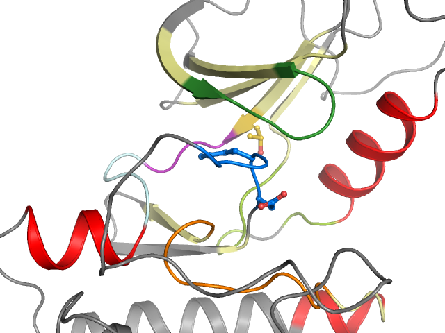 The orthosteric binding pocket