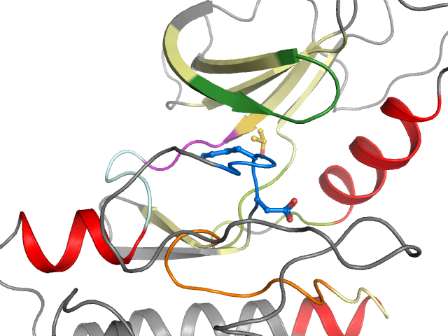 The orthosteric binding pocket
