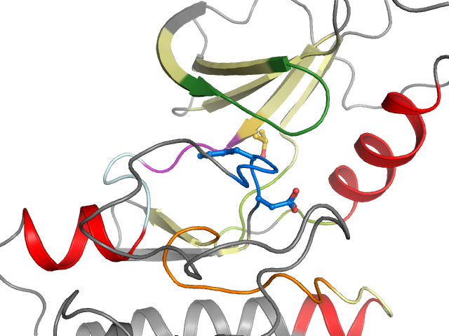 The orthosteric binding pocket