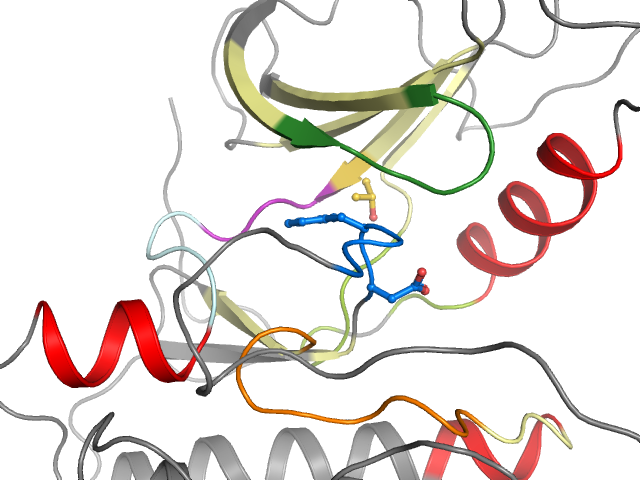 The orthosteric binding pocket