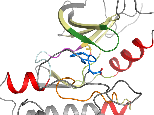 The orthosteric binding pocket