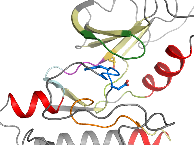 The orthosteric binding pocket