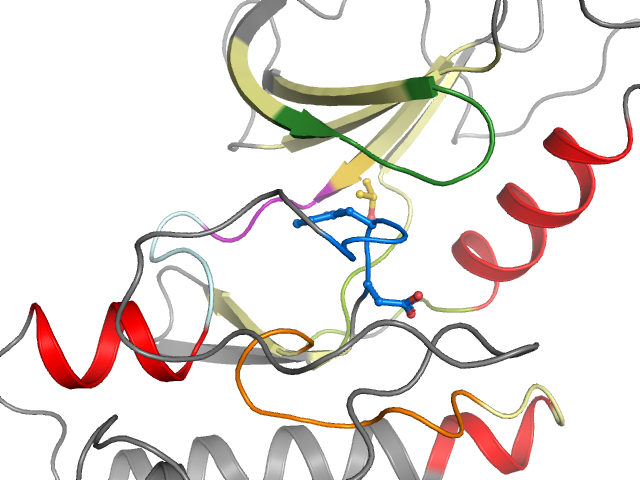 The orthosteric binding pocket