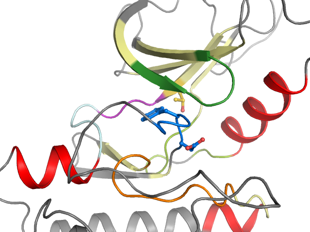 The orthosteric binding pocket