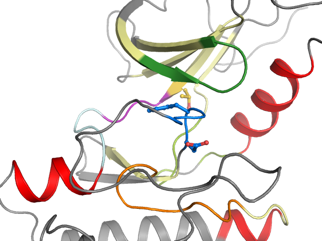 The orthosteric binding pocket
