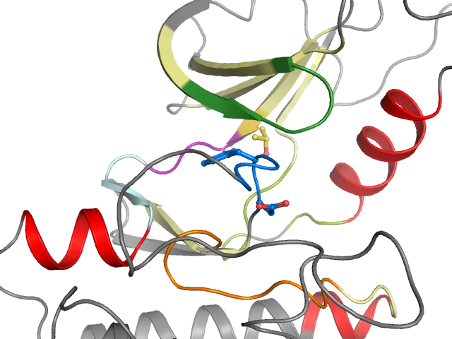 The orthosteric binding pocket
