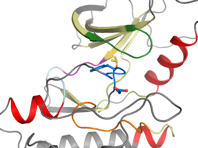 The orthosteric binding pocket
