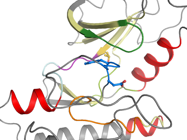 The orthosteric binding pocket