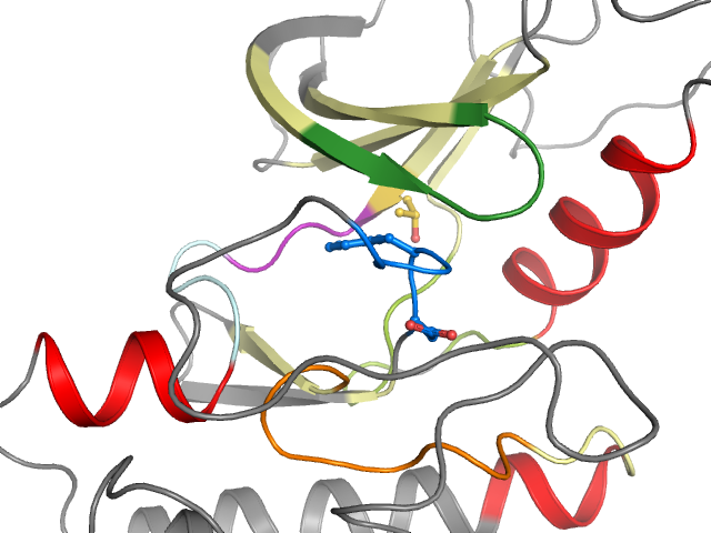 The orthosteric binding pocket