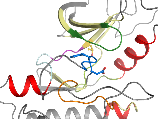 The orthosteric binding pocket