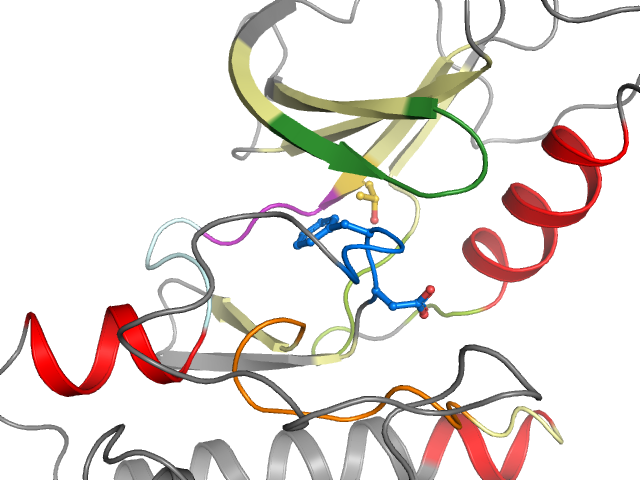 The orthosteric binding pocket