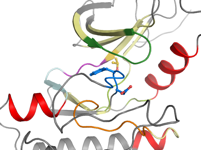 The orthosteric binding pocket