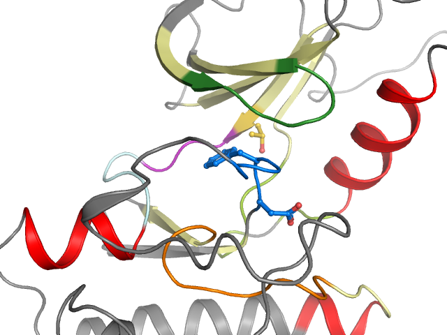 The orthosteric binding pocket