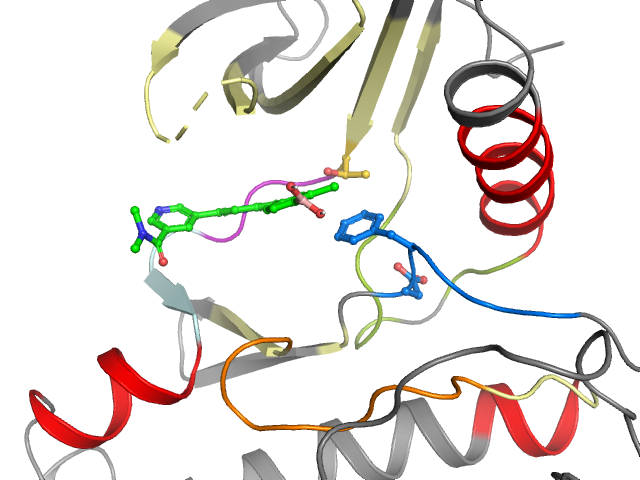 The orthosteric binding pocket