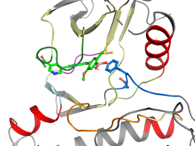 The orthosteric binding pocket