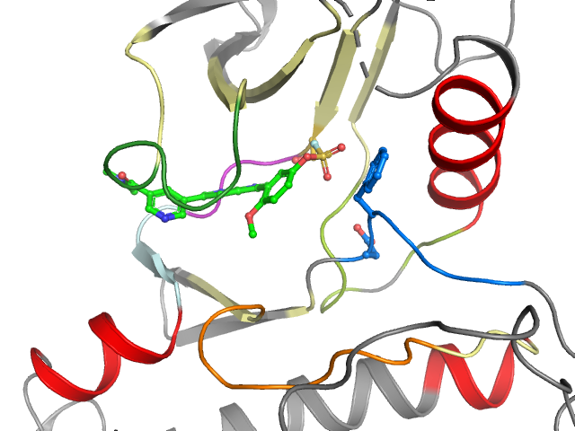 The orthosteric binding pocket
