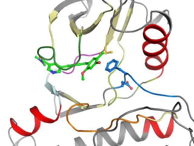 The orthosteric binding pocket