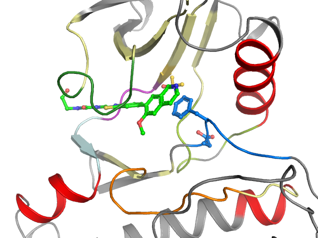 The orthosteric binding pocket
