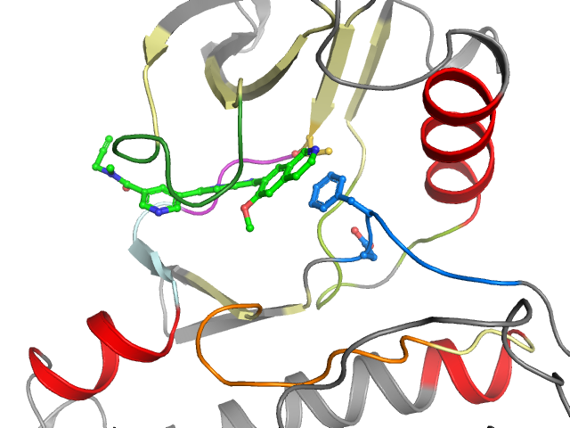 The orthosteric binding pocket