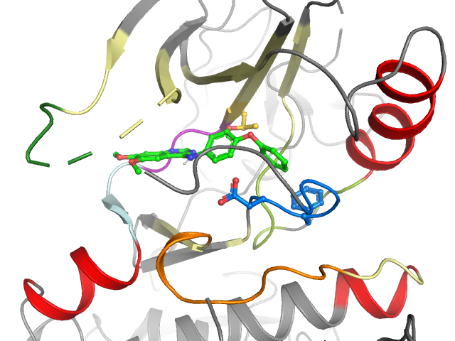 The orthosteric binding pocket
