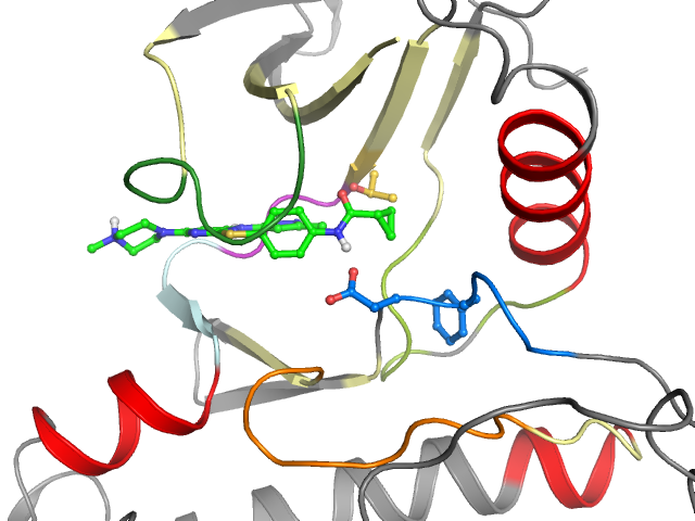 The orthosteric binding pocket