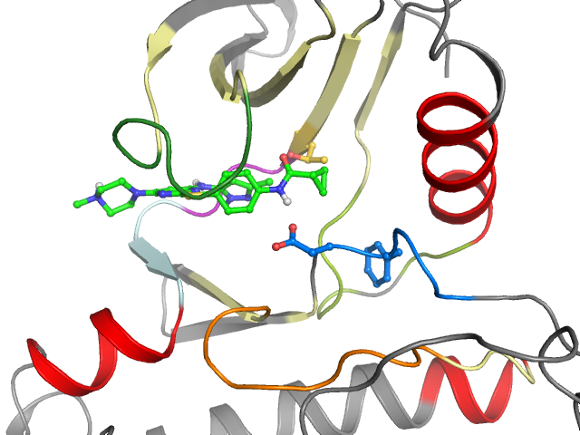 The orthosteric binding pocket