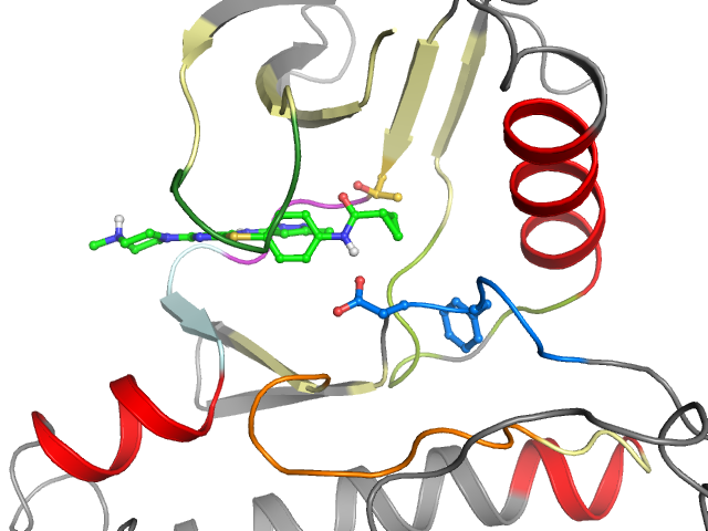 The orthosteric binding pocket
