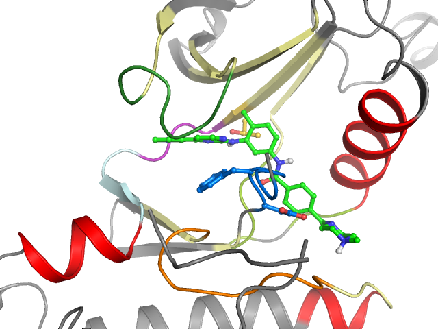 The orthosteric binding pocket
