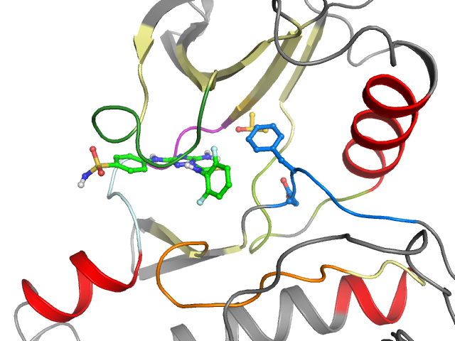 The orthosteric binding pocket