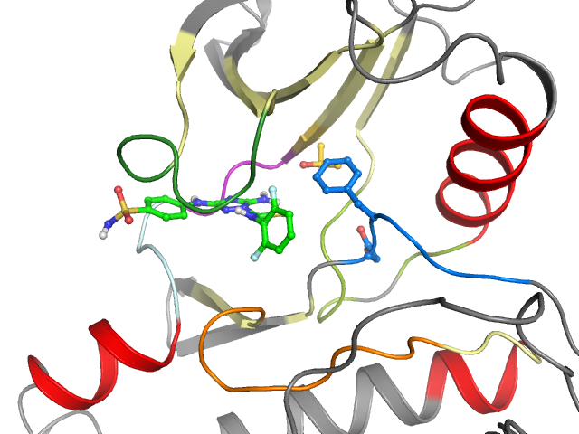 The orthosteric binding pocket