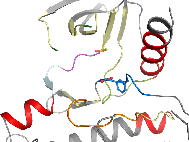 The orthosteric binding pocket