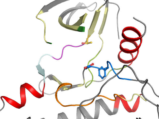 The orthosteric binding pocket