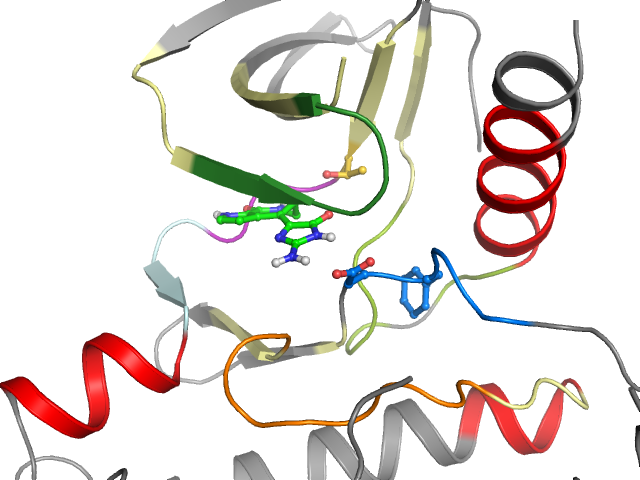 The orthosteric binding pocket
