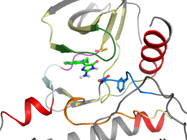 The orthosteric binding pocket