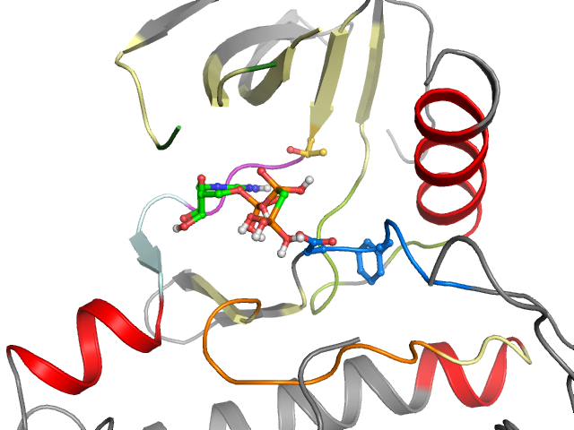 The orthosteric binding pocket